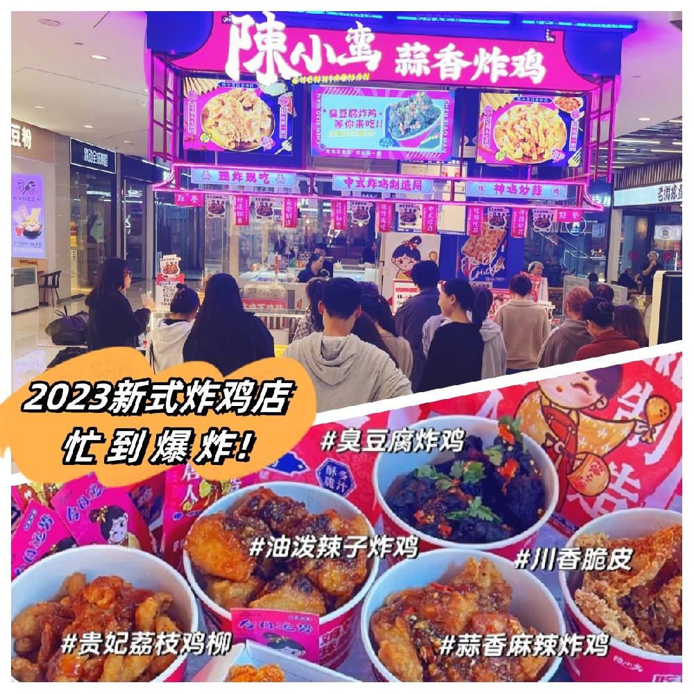 陈小蛮炸鸡总投资费用多少钱？